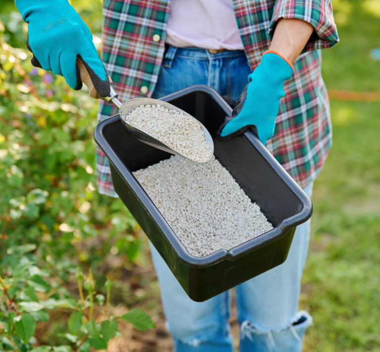 Close-up mineral fertilizer in hands of gardener, outdoor, summer garden background