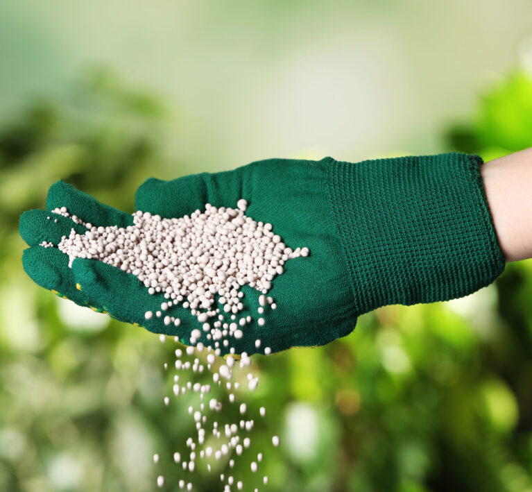 Woman in glove pouring fertilizer on blurred background, closeup. Gardening time
