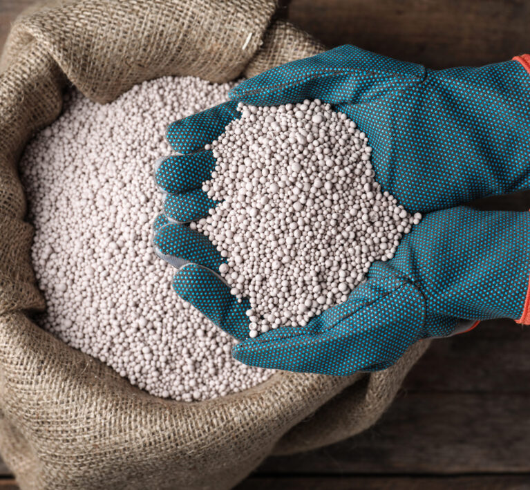 Woman with handful of fertilizer over bag on wooden table, top view. Horticulture and gardening